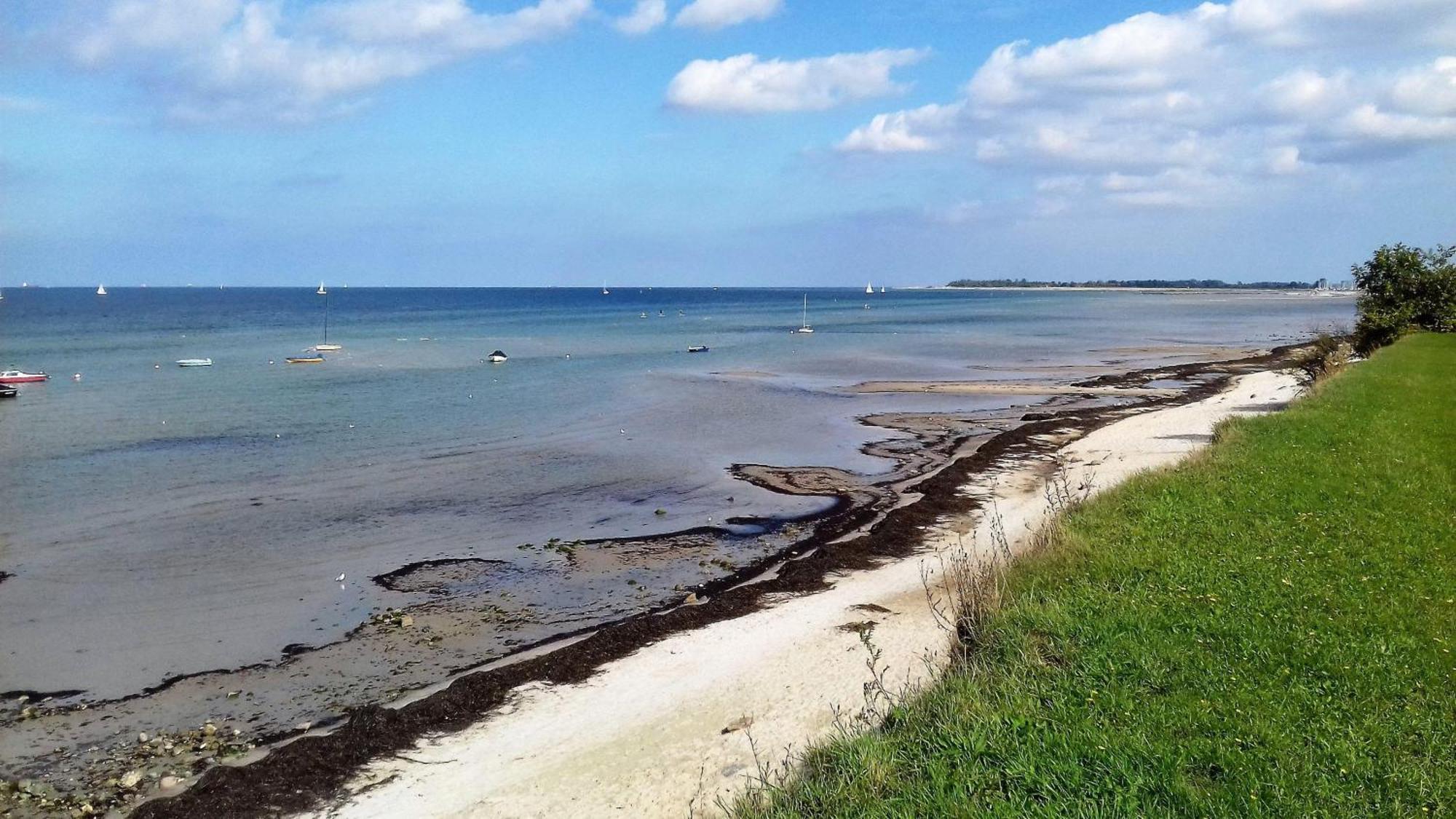 Ferienwohnung-Ostseestrand-In-Stein-Bei-Laboe Stein  Zewnętrze zdjęcie